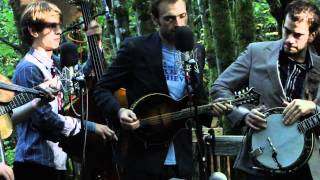 Pickathon 2010: Heart in a Cage - Punch Brothers at Pickathon