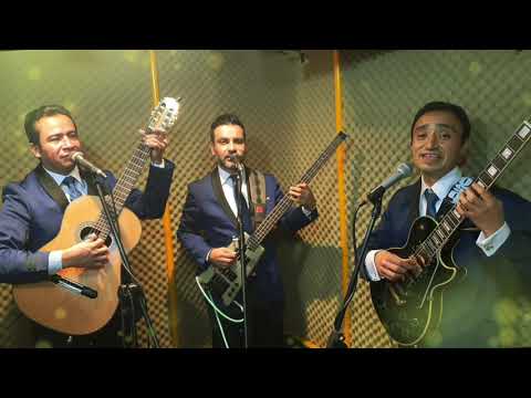 Los Tecolines Toda una vida