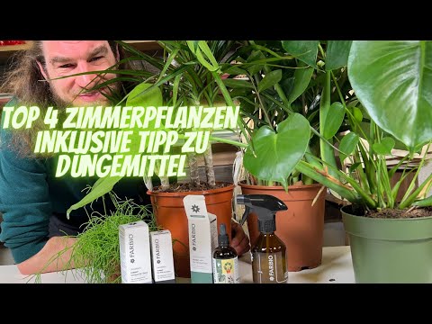 Die Top 4 Zimmer Pflanzen vom Profi kurz erklärt - Kennst du das Bio-Düngemittel FARBIO schon