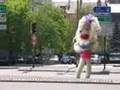 Sidewalk King