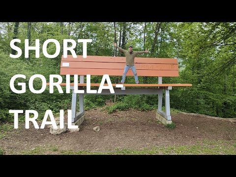 SUCHSPIEL AUF DER BURG HOMBURG - AN DIESER BANK FÜHRT DER WEG VORBEI!