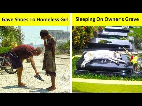 This Video Will Touch Your Heart  😥🙏 Video