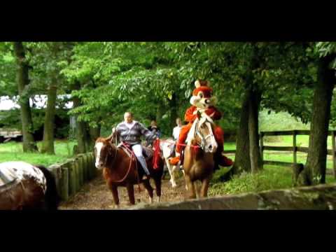 Chippy at Flying Horseshoe Ranch