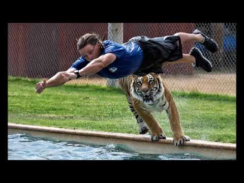 Hold That Tiger or Tiger Rag (Claude King)