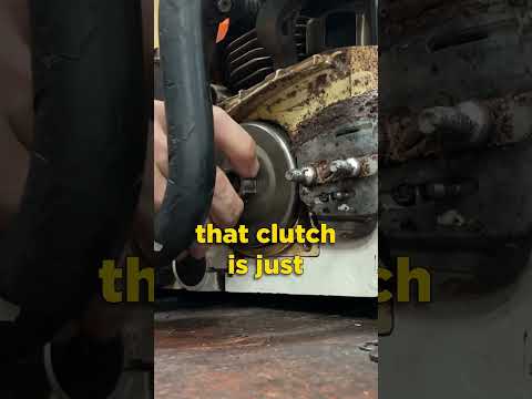 Chainsaw tip: Greasing the clutch drum bearing with Gordy #shorts