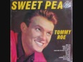 TOMMY ROE-"THE YOU I NEED"(LYRICS)