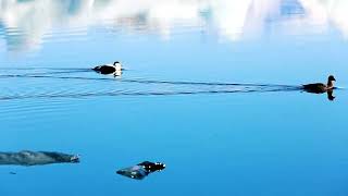 Peace For the Troubled Heart Ch1Pt 2