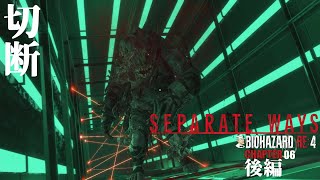 #06 「切断」 BIOHAZARD:RE4/バイオハザードRE4 Separate Ways エイダ編 【CHAPTER 06後編】