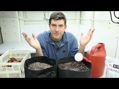 What Matt Damon The Martian Should Have Known Before Growing Indoor Potatoes