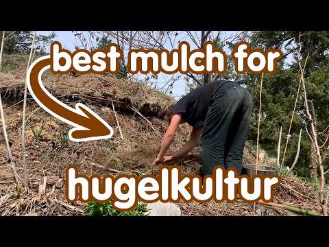 12+ Hugelkultur Mulches: A Comprehensive Review