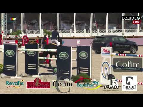 CSI 5* Waregem - Grand Prix 2019 - Steve Guerdat & Alamo