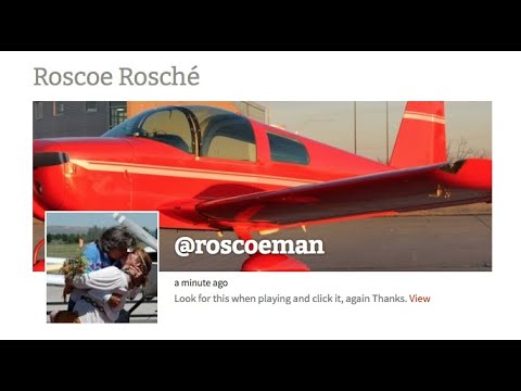 Grumman Style: Why Pilots Choose the AA-1 Series