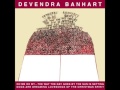 Devendra Banhart - Pumpkin Seeds