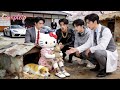Poor Abandoned Girl Is Thrown Into A Pound But 4 CEOs Rescue Her And Turn Her Into A Princess In