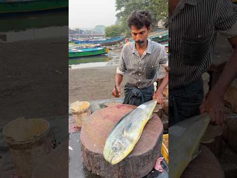 Amazing Fish cutting skill Vibe short #vibe #fishcutting #youtubeshorts