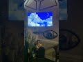 Shrek 2 2004 Bravo Intro