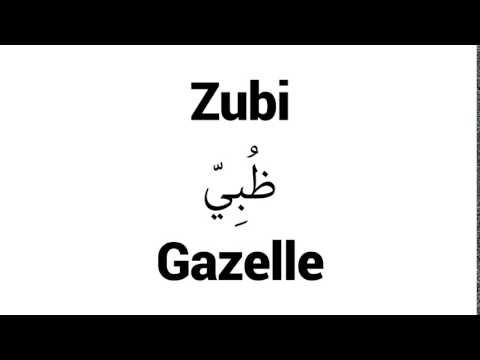 How to Pronounce Zubi! - Middle Eastern Names