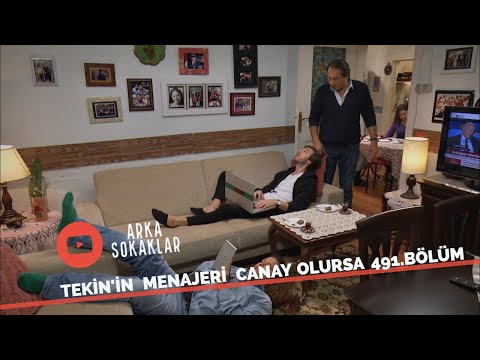 Tekin'in Menajeri Canay Olursa 491. Bölüm