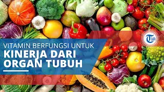 Vitamin A, Berfungsi untuk Perkembangan Kinerja Organ tubuh, seperti Mata, Kulit, Organ Reproduksi