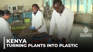 Tackling an environmental crisis: Kenyan start up turns water hyacinth to bioplastic