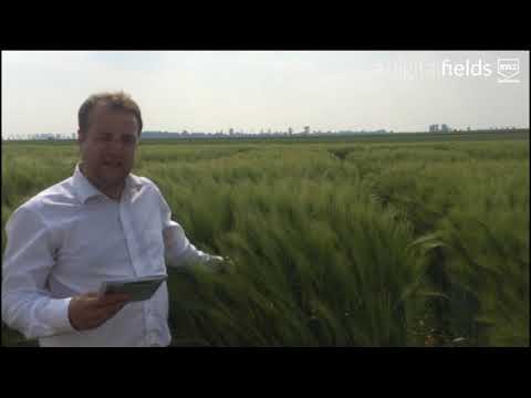 RWZ-Versuchsführung Nörvenich 2020 | Wintergerste