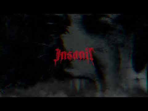 Insanir - Amplecti Insaniam (Official Audio)