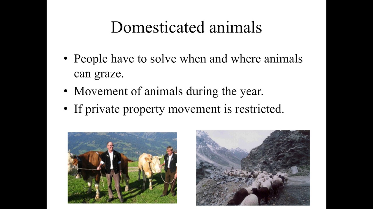 Introduction to IAD framework