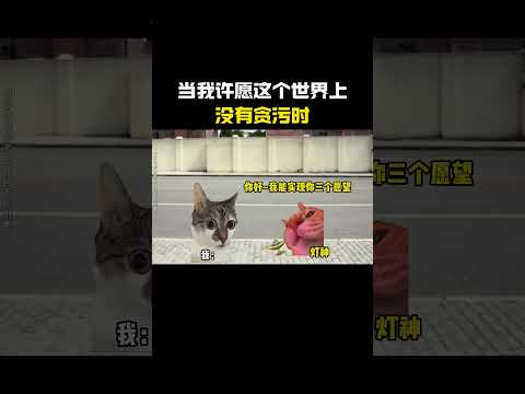 当我许愿这个世界上没有贪污时#cheems #猫meme #搞笑 #funny #熱門