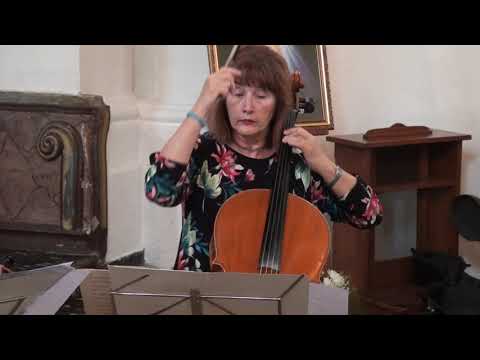 Kvartet Rucner u Sladojevcima, 19.5.2019.  video