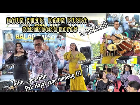 Daun hiris medley Voc.Orin & Eva Damanose - Balad musik (Arf Audio)