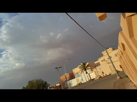 CAT♥️And Weather