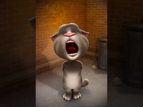 Talking cat best video  #shorts #funny