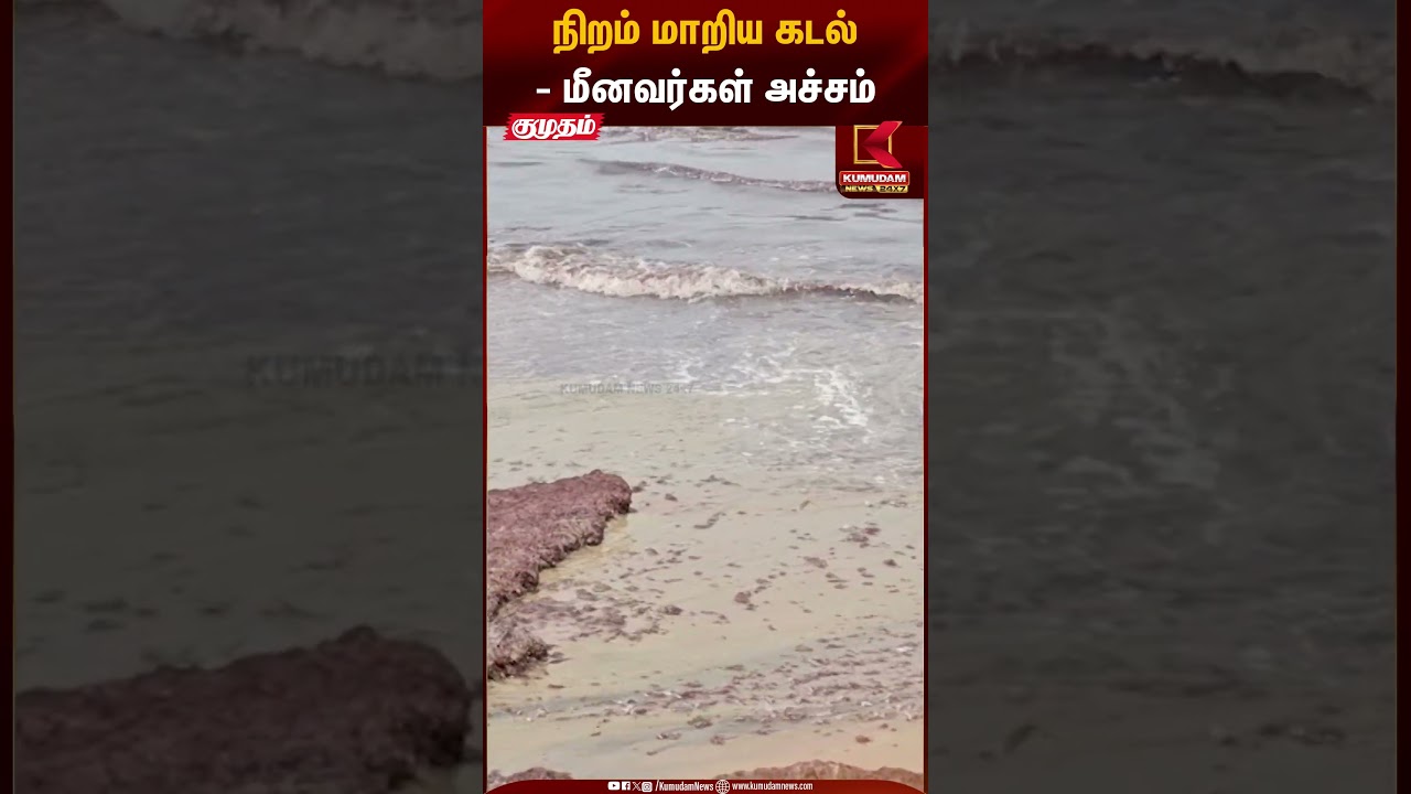 Fisherman Safety | நிறம் மாறிய கடல் -மீனவர்கள் அச்சம் | Kumudam News