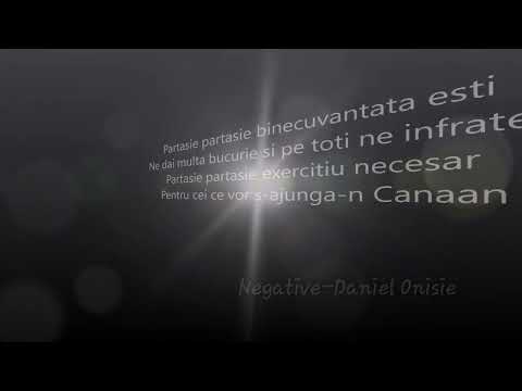 Partasie partasie - negativ