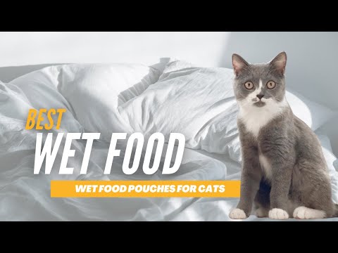 Cat Wet Food Pouches | REVIEW | Cheapest to Most Expensive
