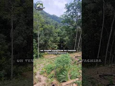 Un tesoro del Tachira, Venezuela. #sancristobaltachira #turismo #drone #lugaressecretos