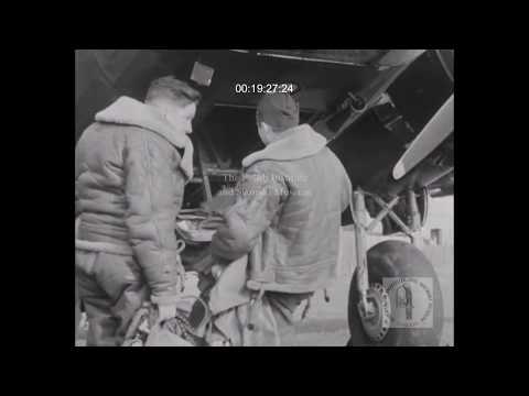 SIK 1100 - Faithful sons