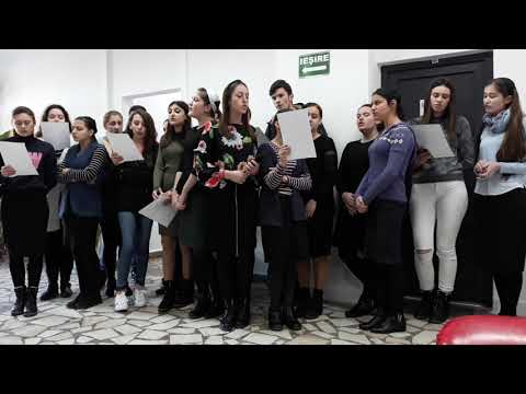 Liceul Teoretic Recaș -  ”EMINESCU„ -15.01.2020