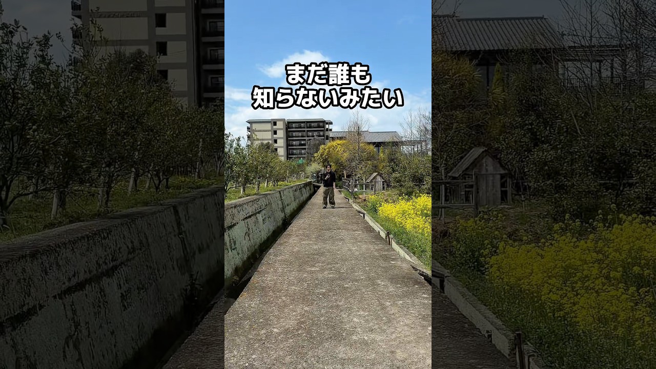 【最新ガジェット】20m先の声も拾ってくれるAIボイスレコーダー