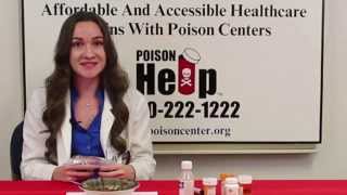🚫 How to Properly Dispose of Expired Medications -Medicine Disposal-Poison Center in El Paso, TX