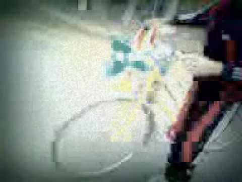 nebuni de pe geamana