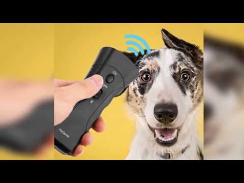 Barxbuddy South Africa | Walmart | Barx Buddy Review | UK