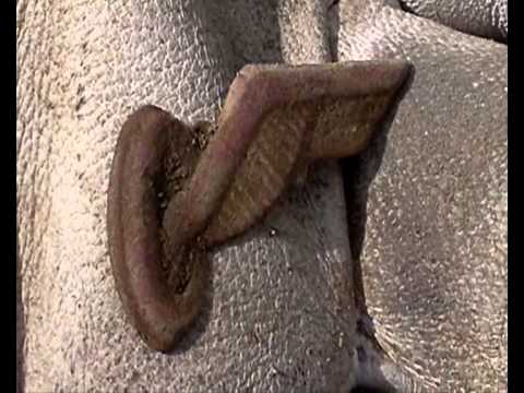 Záchranný archeologický výzkum  na obchvatu Dubá 13.4 2014.Detektor Metal.