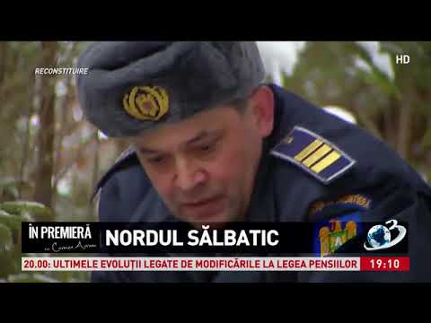 Nordul Salbatic Carmen Avram