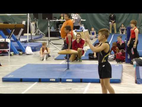 2017 01 07 Pommel Horse