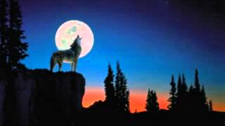 Moanin' At Midnight - John Primer.flv