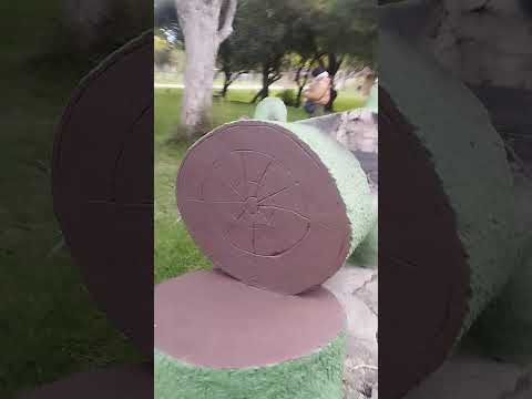 Parque Mediana Maldonado🛵🇺🇾❤️‍🔥🪶#destacar #viralvideo #viral #motoviajero #viralshorts