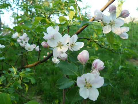 Wszystkiego najlepszego - Danuta Rinn i Bogdan Czyżewski