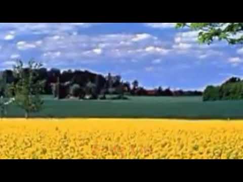 Querido Jesús, pista.