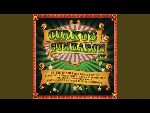 Tællesangen (feat. Hr. Skæg)